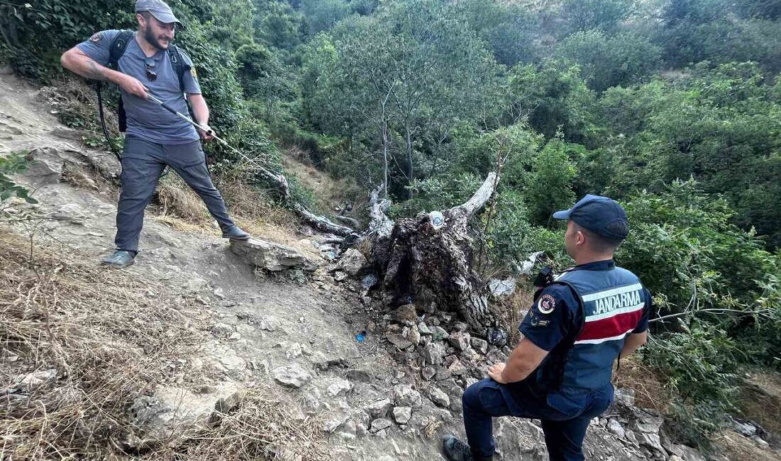 Bilecik’te yaşanan ağaç yangını endişe verici anlara neden oldu. İnhisar