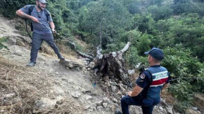 Bilecik’te yaşanan ağaç yangını endişe verici anlara neden oldu. İnhisar