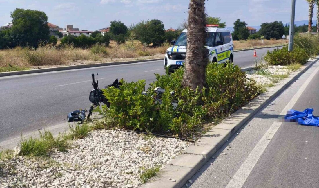 Denizli’nin Pamukkale ilçesinde geçtiğimiz hafta sonu meydana gelen bir trafik
