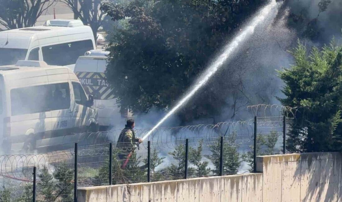 Kocaeli’nin Gebze ilçesinde bir ağaçlık alanda meydana gelen yangın, itfaiye