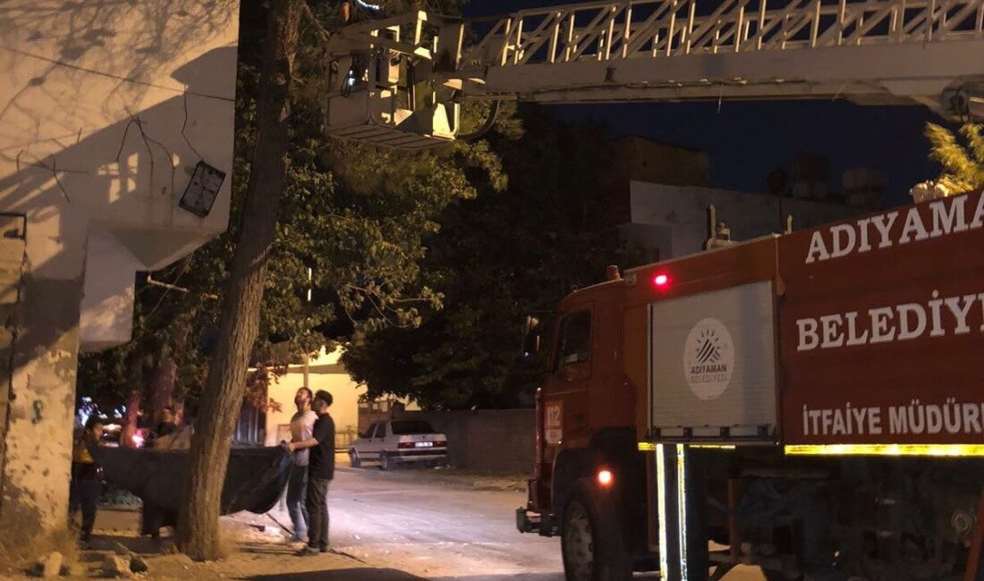 Adıyaman ilinde bir kedinin mahsur kaldığı ağaçtan itfaiye ekiplerince kurtarıldı.