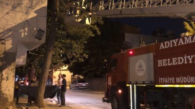 Adıyaman ilinde bir kedinin mahsur kaldığı ağaçtan itfaiye ekiplerince kurtarıldı.