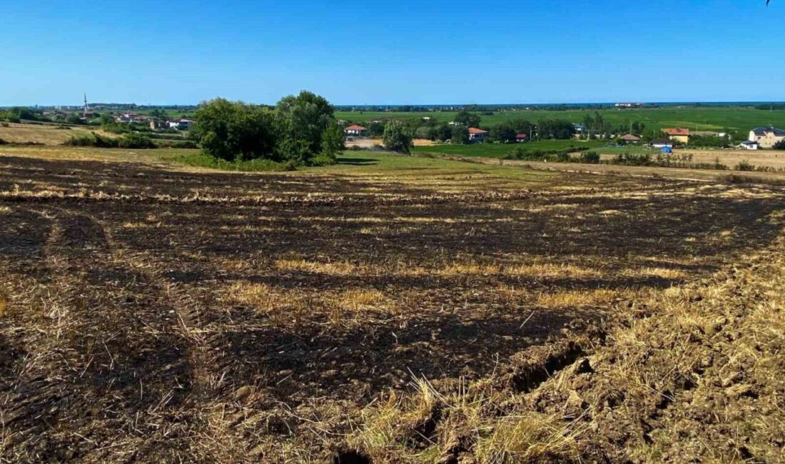 Samsun’un Alaçam ilçesinde meydana gelen örtü yangını, çevrede kısa süreli
