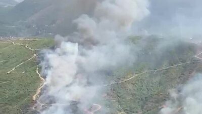 Alanya ilçesine bağlı Sapadere Kanyonu’nda yer alan ormanlık alanda bugün