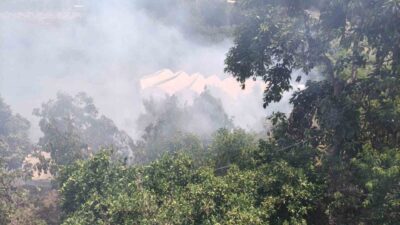 Alanya ilçesine bağlı Antalya’da avokado bahçelerinin bulunduğu tarımsal alanda meydana