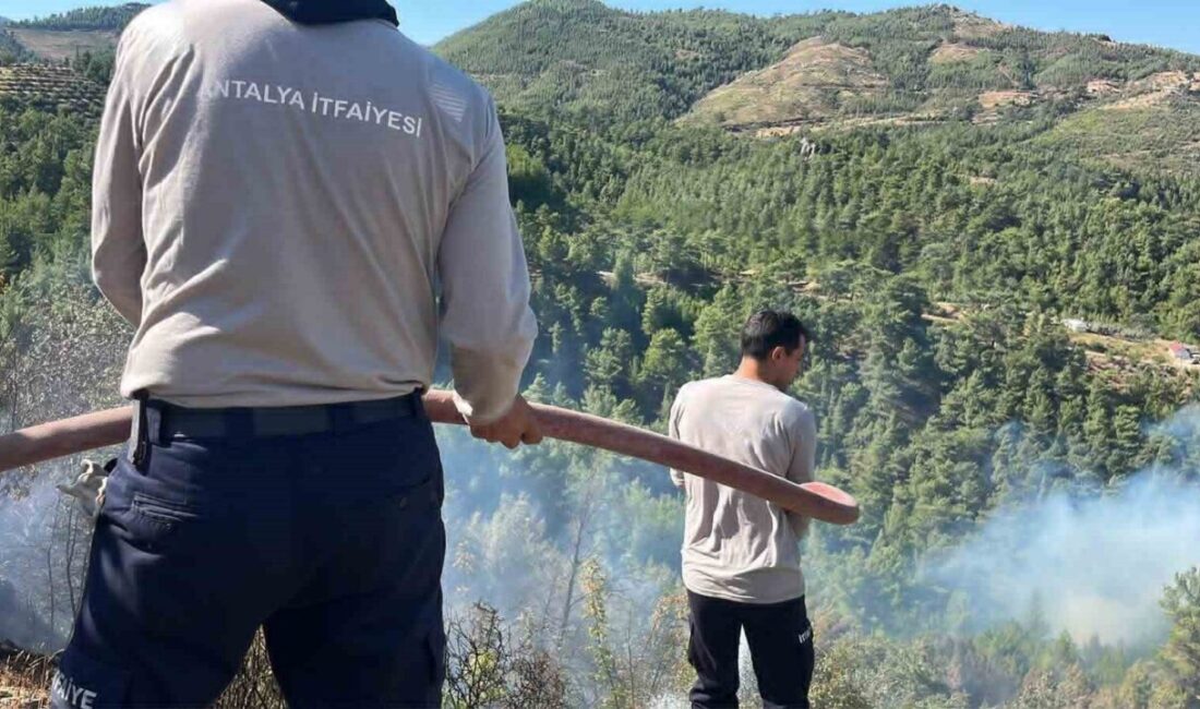 Alanya ilçesinde dün öğleden sonra başlayan orman yangını, gece boyunca
