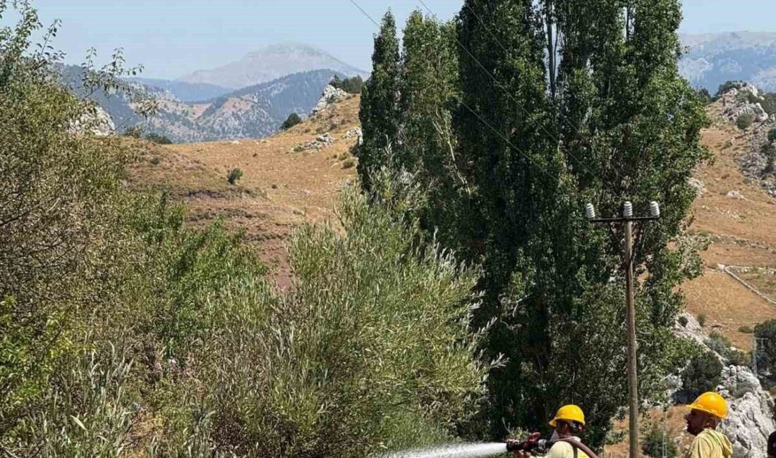 Alanya ilçesindeki bir otluk alanda meydana gelen yangın, karadan müdahale
