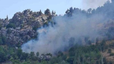 Alanya ilçesindeki tarımsal alanda meydana gelen yangın, ekiplerin hızlı müdahalesi