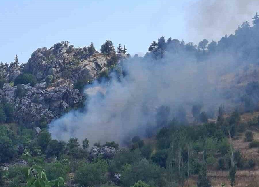Alanya ilçesindeki tarımsal alanda meydana gelen yangın, ekiplerin hızlı müdahalesi