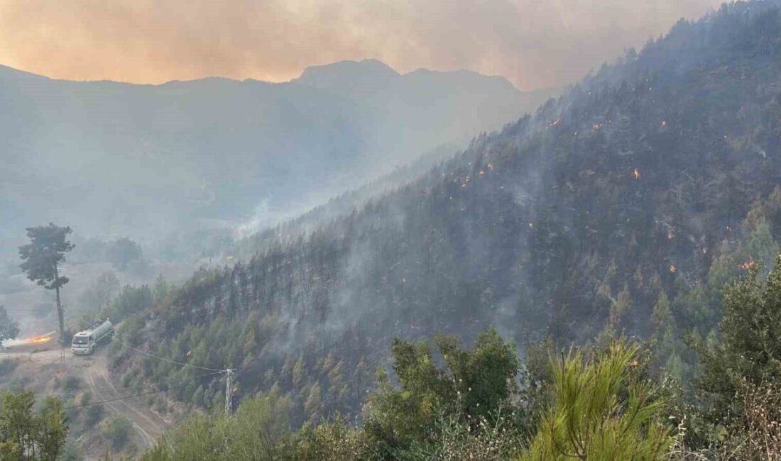 Alanya ilçesindeki orman yangını, rüzgarın etkisiyle hızla yayılarak yakın mahalledeki
