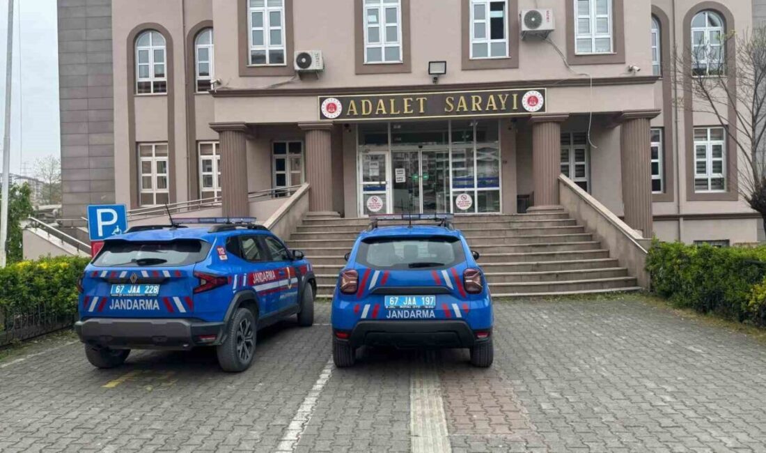 Alaplı ilçesinde jandarma ekipleri tarafından gerçekleştirilen operasyonda, uyuşturucu ve uyarıcı