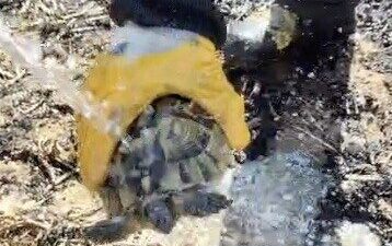Çorum’da meydana gelen bir örtü yangınında, alevlerin arasında sıkışıp kalan