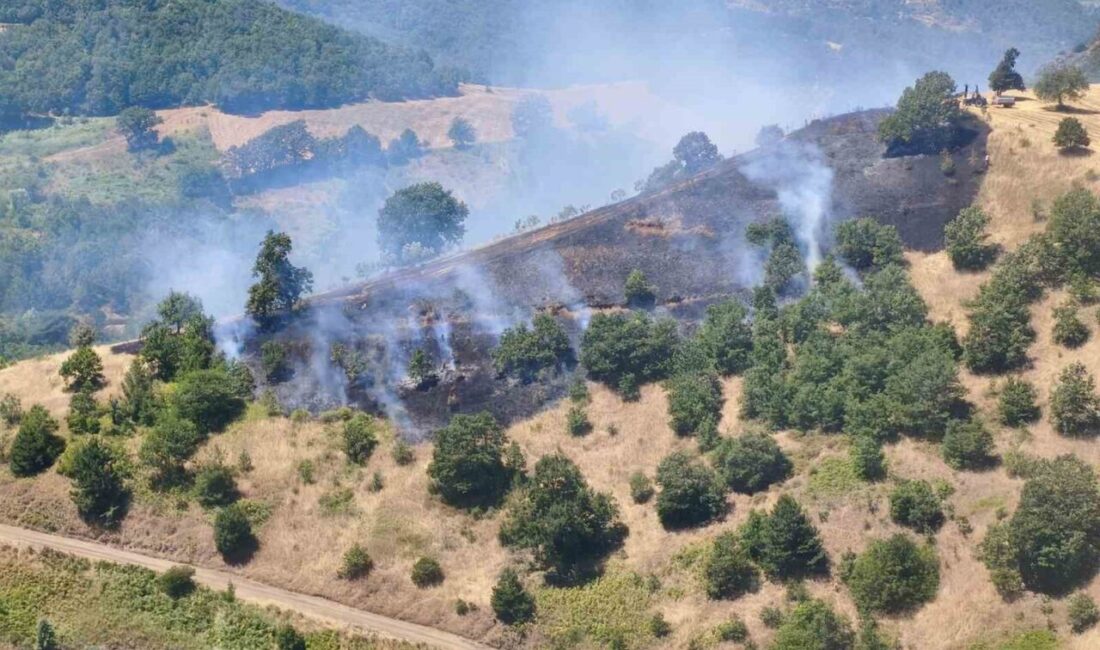 Gemlik ilçesinde meydana gelen yangın, orman teşkilatı, itfaiye ekipleri ve