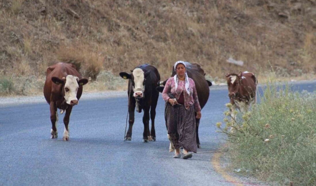 Aydın’ın Çine ilçesinde meydana gelen orman yangını hızla büyürken, canlarını