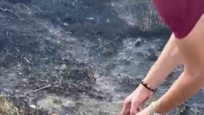 Denizli’nin Pamukkale ilçesinde, yerleşim alanına yakın bir otluk alanda başlayan