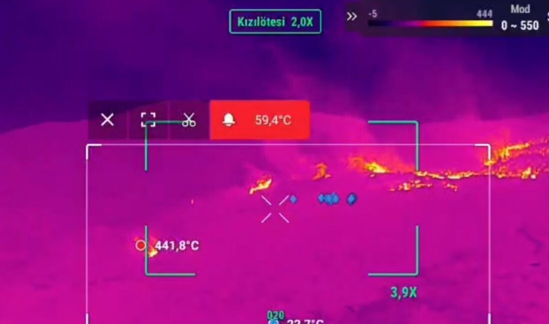 Aydın’ın Çine ilçesindeki orman yangınının kontrol altına alınması için yoğun
