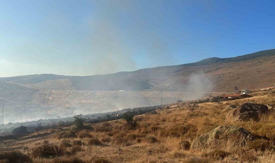 İzmir’in Aliağa ilçesinde bir otluk alanda meydana gelen yangın, ekiplerin