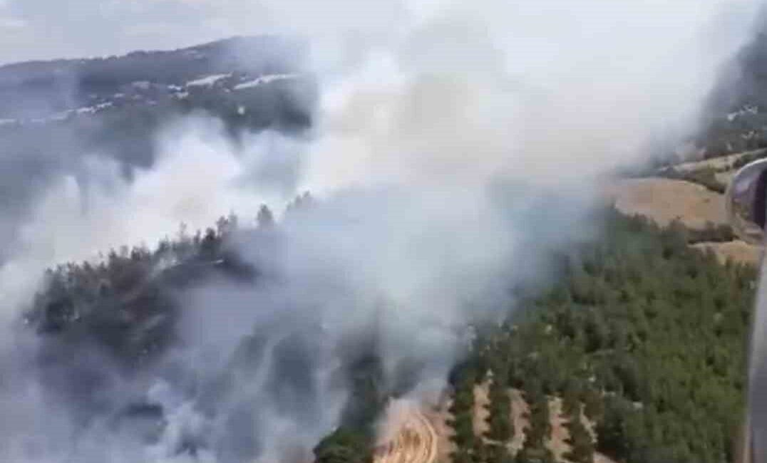 Altıeylül ilçesine bağlı Macarlar Mahallesi yakınlarında çıkan yangın, otluk alandan