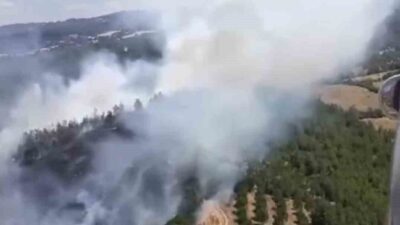 Altıeylül ilçesine bağlı Macarlar Mahallesi yakınlarında çıkan yangın, otluk alandan