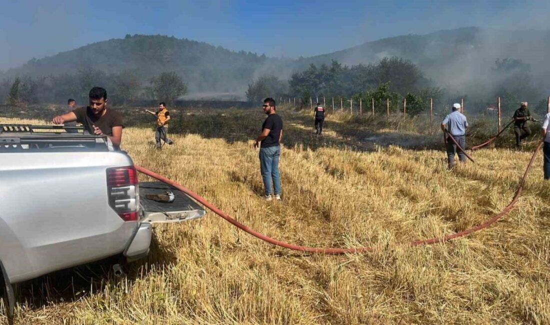 Eskipazar ilçesinde meydana gelen anız yangını, ormanlık alana yayılmadan söndürüldü.