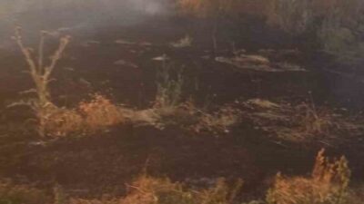Afyonkarahisar’da, Şuhut ilçesi Kınık mevkiinde çıkan anız yangını, tarım arazileri