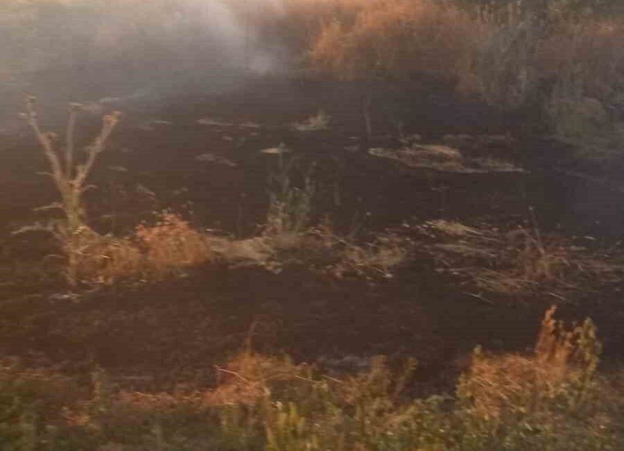 Afyonkarahisar’da, Şuhut ilçesi Kınık mevkiinde çıkan anız yangını, tarım arazileri