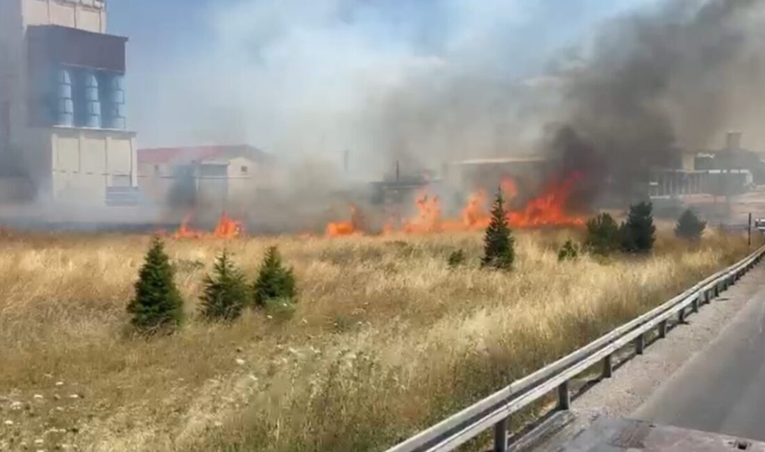 Afyonkarahisar’da yaşanan anız yangını, Emirdağ ilçesindeki Organize Sanayi Bölgesi (OSB)