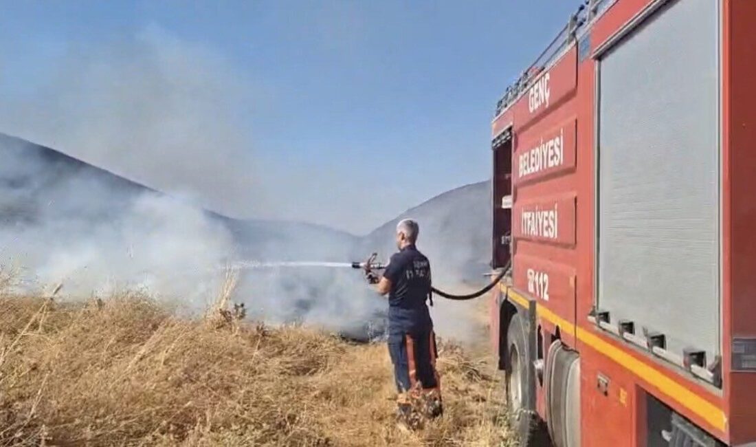 Bingöl’ün Genç ilçesinde yaşanan anız yangınına müdahale devam ediyor. Yangın,