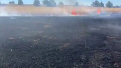 Eskipazar ilçesinde meydana gelen anız yangını, itfaiye ekiplerinin başarılı müdahalesi
