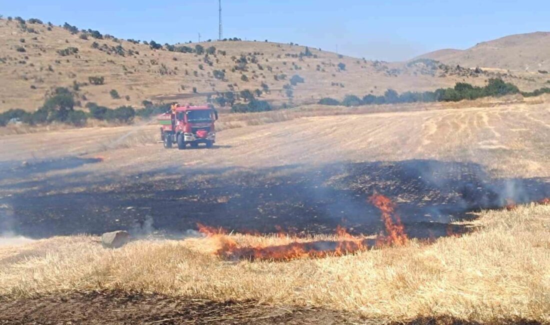 Sandıklı, Afyonkarahisar ilçesinde meydana gelen anız yangınında yaklaşık 200 dönüm