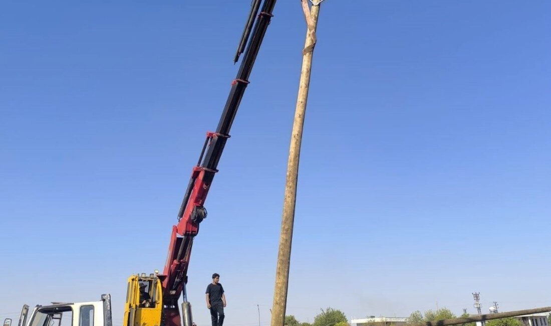Şanlıurfa’da anız yangınları, tarım arazilerinin yanı sıra elektrik altyapısına da