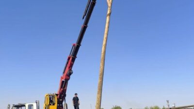 Şanlıurfa’da anız yangınları, tarım arazilerinin yanı sıra elektrik altyapısına da