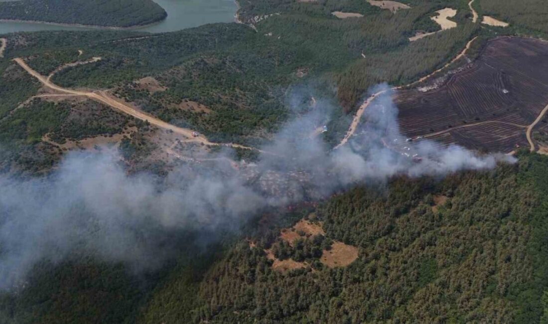 Tekirdağ’ın Şarköy ilçesinde, anızlık alanda başlayan ve ormanlık alana yayılan