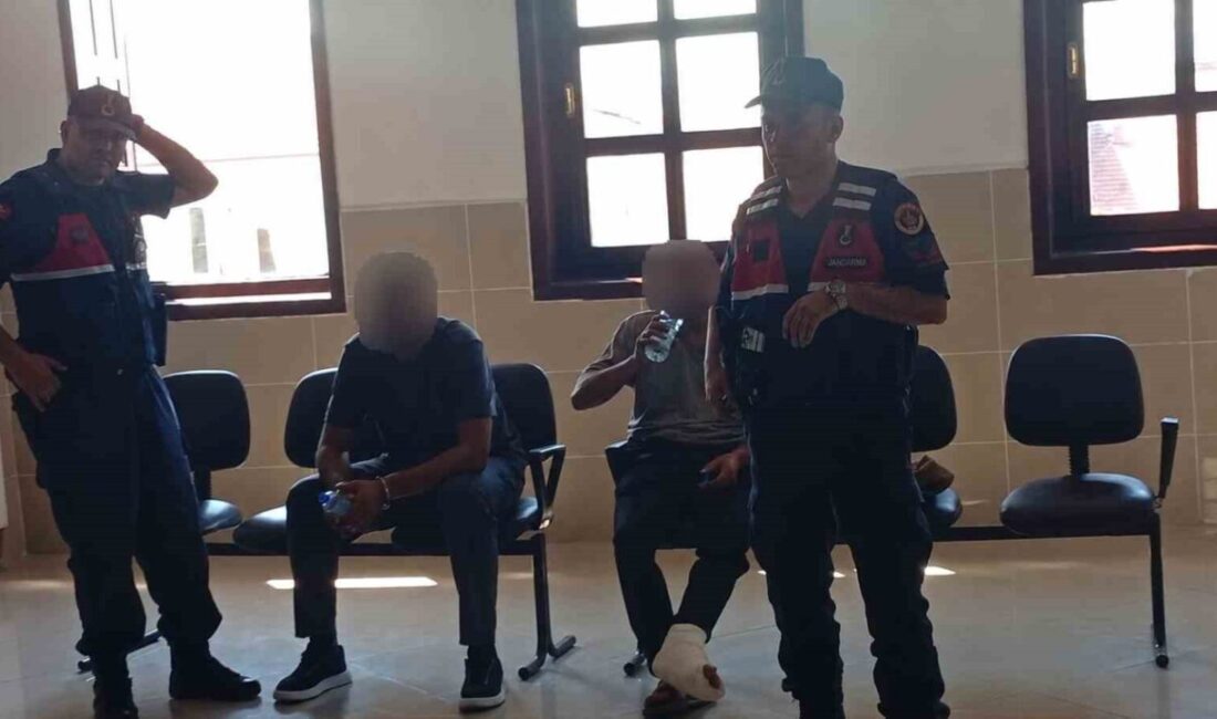 Güdül ilçesinde yaşanan trajik olay sonucunda kayınpeder ve kayınvalidesini öldüren