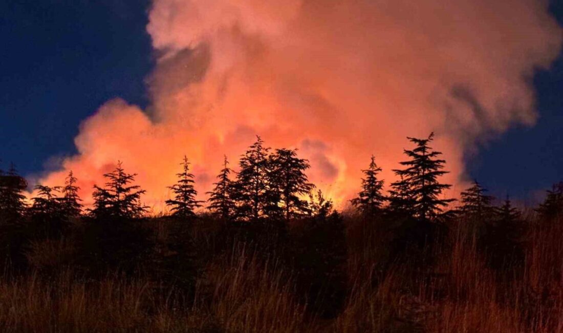 Yenimahalle ilçesindeki bir otluk alanda meydana gelen yangın, itfaiye ekipleri