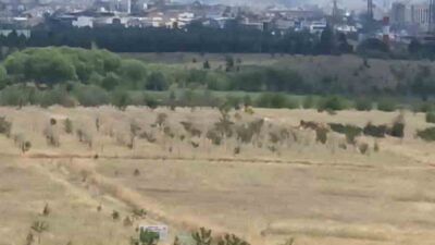 Ankara’nın Yenimahalle ilçesinde geniş bir arazide başlayan ot yangını, ekiplerin