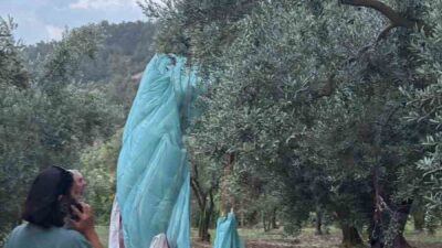 Orhangazi ilçesine bağlı Bursa’nın Gürle Dağı’nda tandem paraşüt ile uçuş
