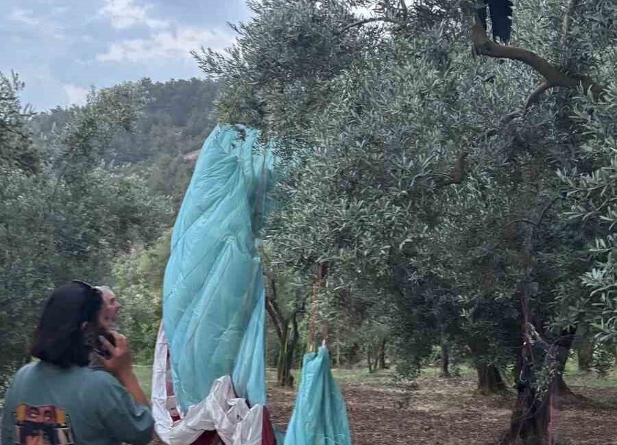 Orhangazi ilçesine bağlı Bursa’nın Gürle Dağı’nda tandem paraşüt ile uçuş