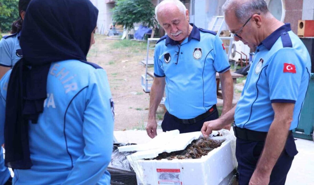 Antalya Şehirlerarası Otobüs Terminali’nde yapılan denetimlerde, sağlıksız koşullarda taşınan 90