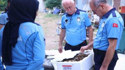 Antalya Şehirlerarası Otobüs Terminali’nde yapılan denetimlerde, sağlıksız koşullarda taşınan 90