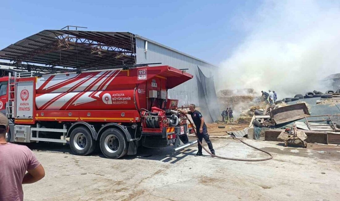 Manavgat’ta meydana gelen bir yangında, bir besihane çatısında yapılan demir