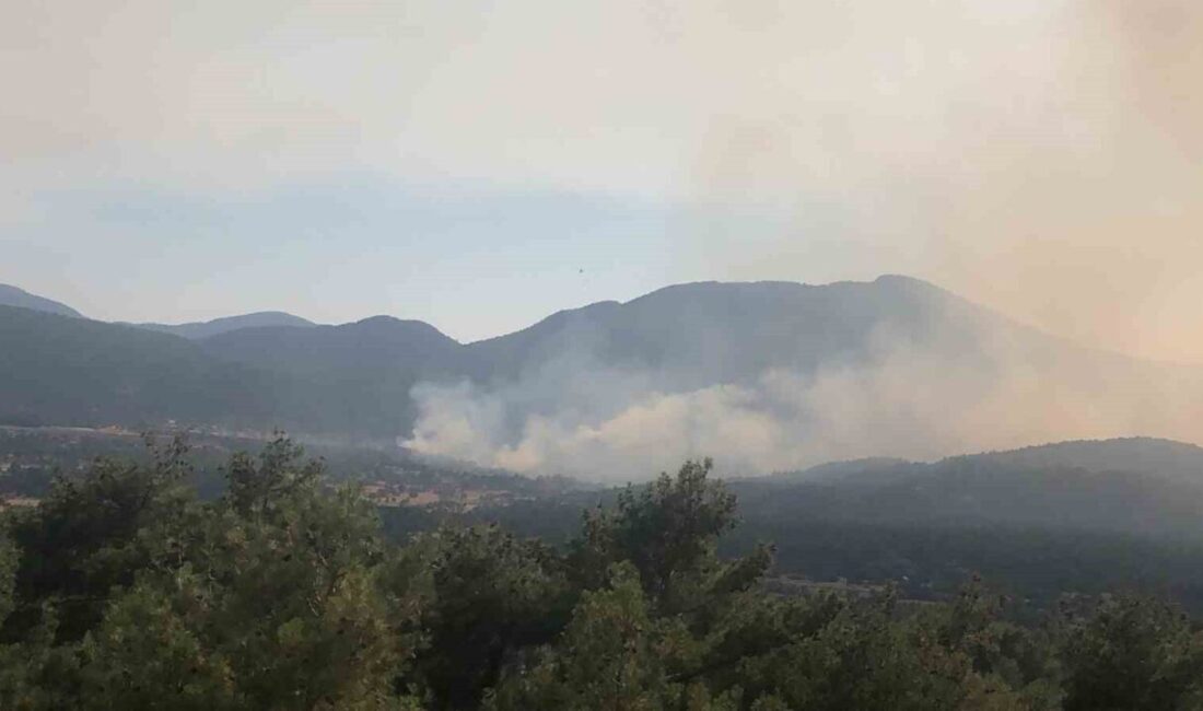 Antalya’nın Akseki ilçesinde çıkan orman yangınına karadan ve havadan müdahale