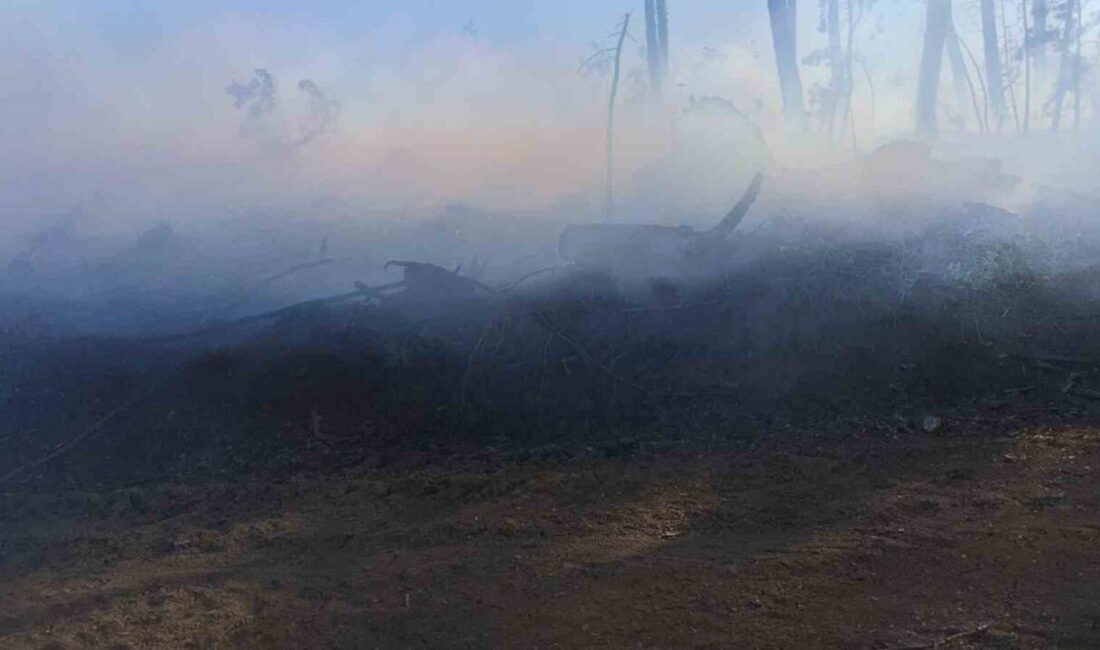 Ovacık ilçesinde meydana gelen bir yangın, Şamlar köyü Nohu Dağı