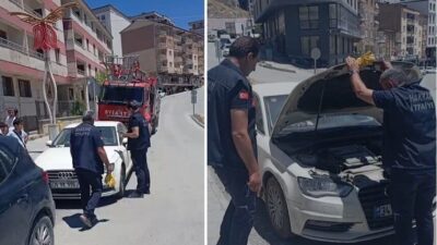Hakkari’de bir aracın kaporta kısmına sıkışan yavru kedi, itfaiye ekiplerinin