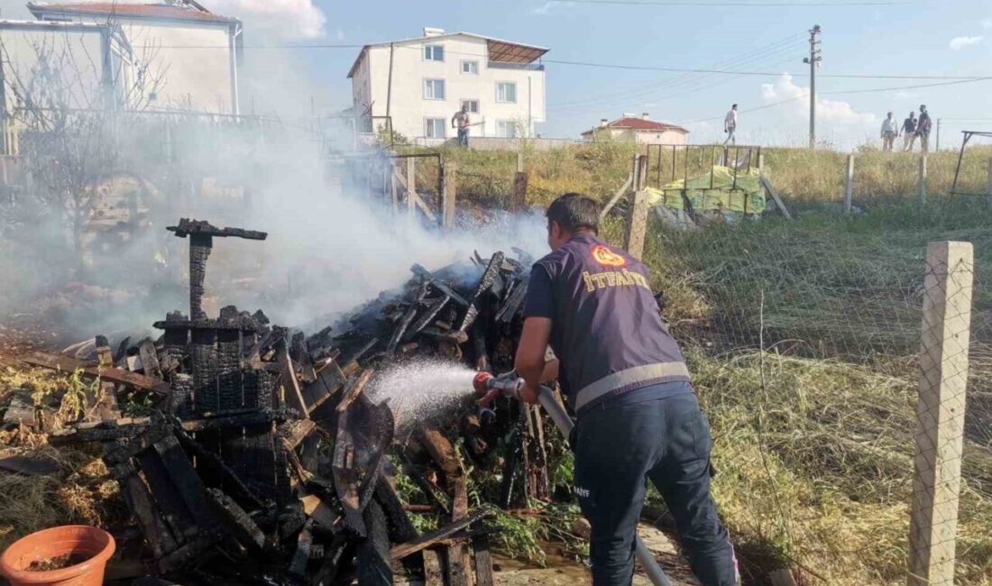 Afyonkarahisar’ın Sandıklı ilçesinde, TOKİ konutlarının bulunduğu bölgedeki bir arazide odun