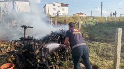 Afyonkarahisar’ın Sandıklı ilçesinde, TOKİ konutlarının bulunduğu bölgedeki bir arazide odun