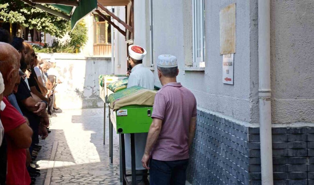 Ardahan-Ardanuç karayolunda meydana gelen trafik kazasında hayatını kaybeden 4 kişi,