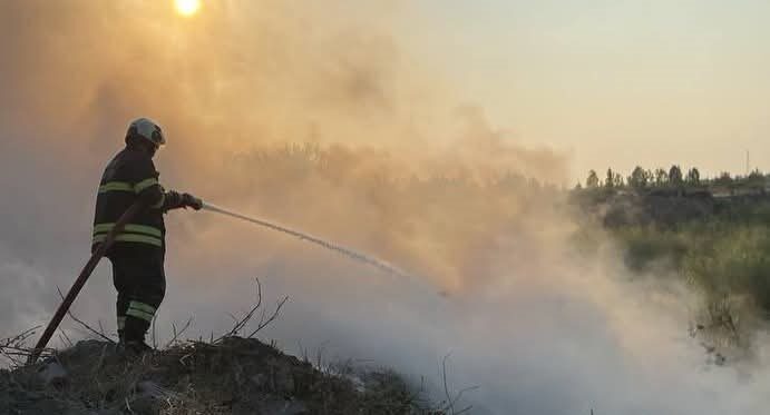 Arsuz ilçesindeki çöplük alanda çıkan yangın, itfaiye ekiplerinin hızlı müdahalesiyle