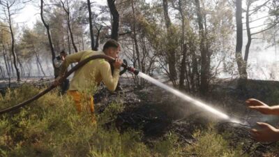 Muğla’nın Menteşe ilçesinde tarım arazisinde başlayan ve rüzgarın etkisiyle ormanlık