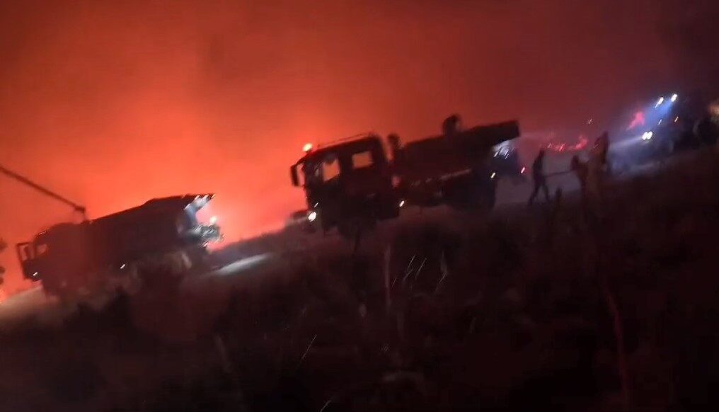 Muğla ve Aydın illerinde meydana gelen orman yangınlarına ilişkin, itfaiye